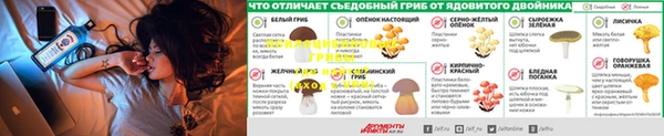 прущая мука Новозыбков
