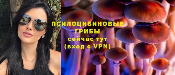 гашик Нягань